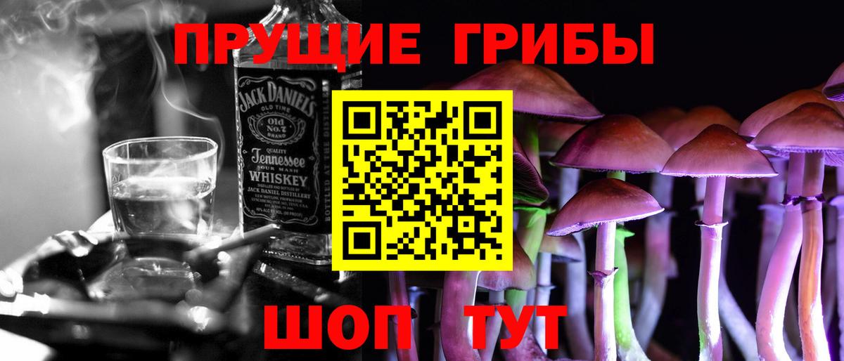 Кисловодск  Галлюциногенные грибы Psilocybine cubensis  Вход с VPN 
